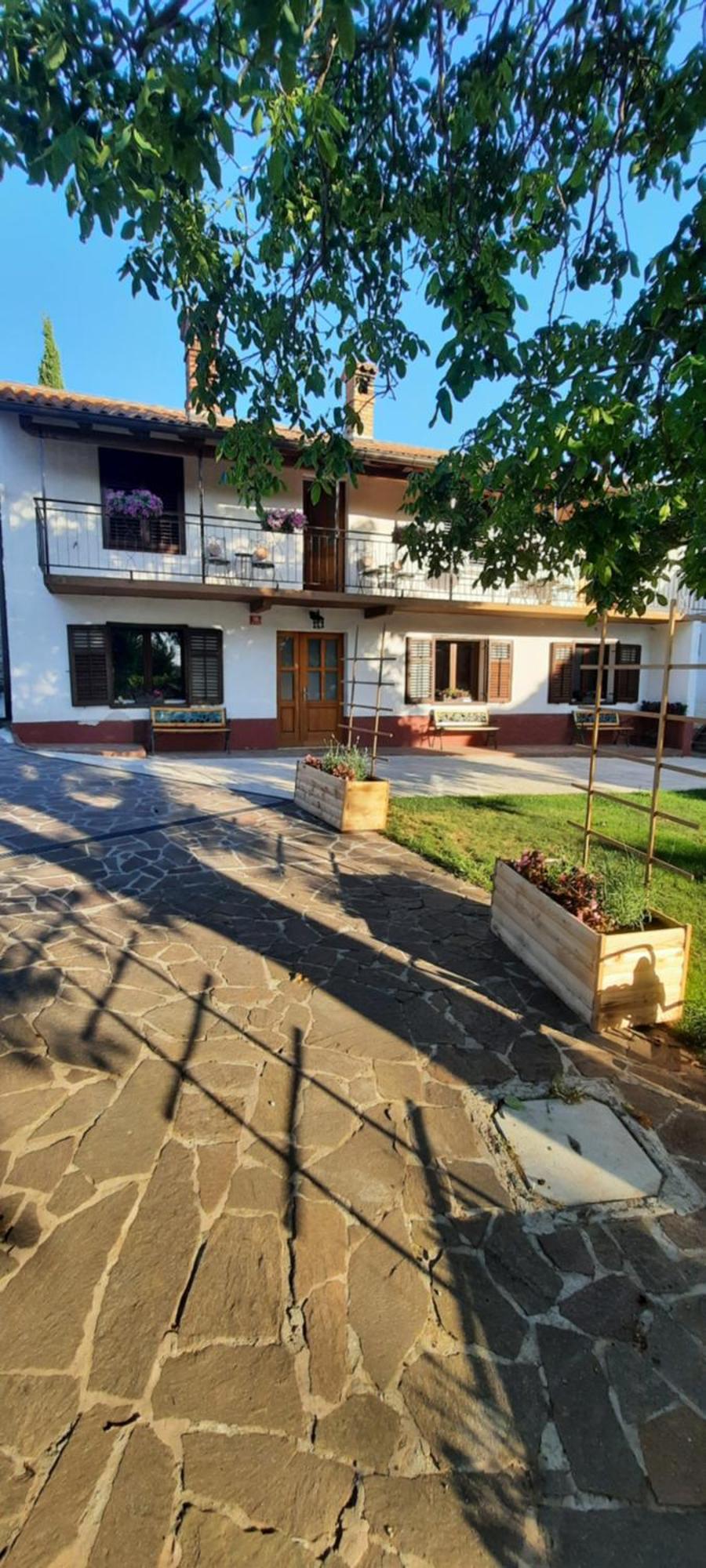 Apartma Brina 3 Сежана Екстер'єр фото
